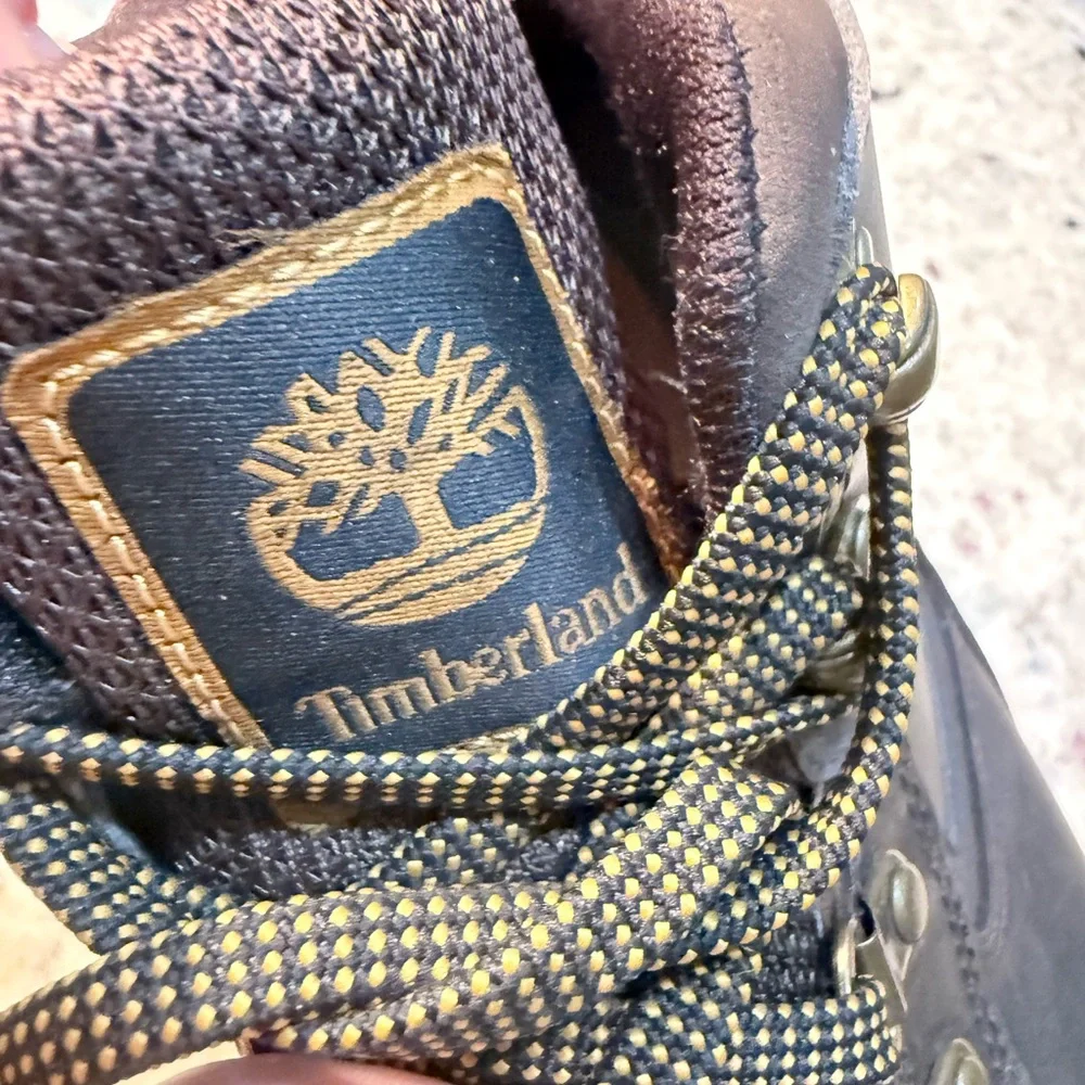 Timberland men mt